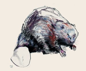 Castor Fiber, 2001 da Mark Adlington