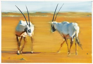 Oryx arabi in cerchio, 2010 da Mark Adlington