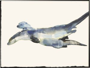 Corteggiamento delle lontre da Mark Adlington