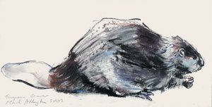 Castoro europeo (studio) 2001 da Mark Adlington