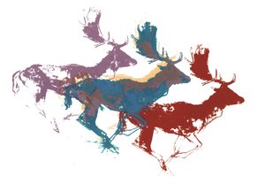 Tre daini, 2015, (serigrafia)