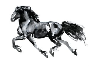 Frisone volante