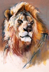Gemsbok Leone da Mark Adlington