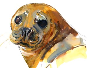 Cucciolo di zenzero, Westcove da Mark Adlington