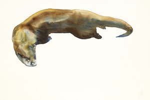 Oro
