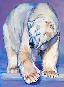 Grande orso bianco, 2016