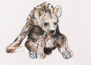 Cucciolo di iena (testa bassa), 2019