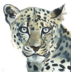 Leopardo, 2015 da Mark Adlington