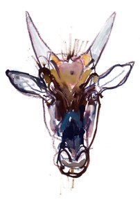 Piccolo diavolo (gnu), 2022