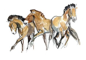 Mistral Tre (Przewalski)