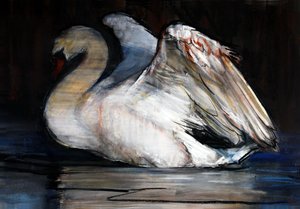 Cigno Notturno, 2022