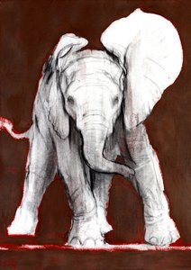 Un Orecchio Su, 2018 da Mark Adlington