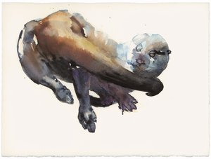 Studio di lontra I - 