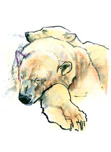 Cuscino da Mark Adlington