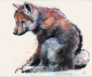 Cucciolo di lupo polacco, 2001