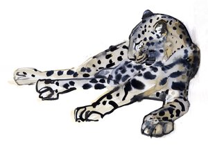 Leopardo arabo sdraiato, 2008 da Mark Adlington