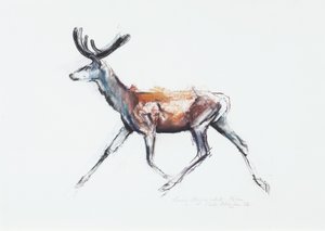 Cervo in corsa con velluto, Polsen, 2006