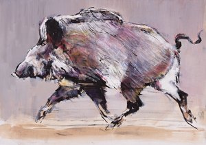 Cinghiale in corsa, 1999