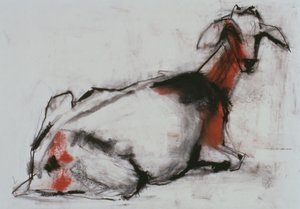 Capra seduta, 1998