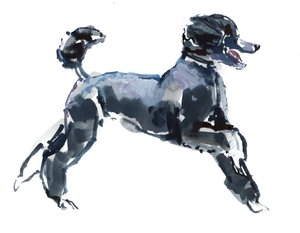 Classe pura, 2013, (acquerello e gouache su carta)