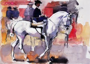 Amazzone alla Feria de Sevilla, 1998 da Mark Adlington