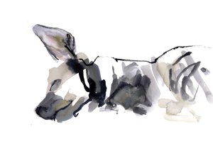 Iena che dorme, 2010 da Mark Adlington