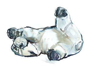Sfregamento sulla neve (Orso polare), 2013 da Mark Adlington