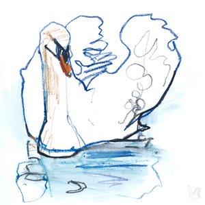 Lago dei cigni