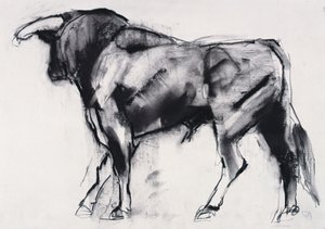 Toro Azul, studio