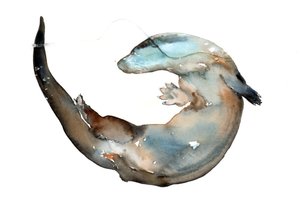 Titolo sconosciuto