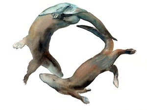 Titolo sconosciuto