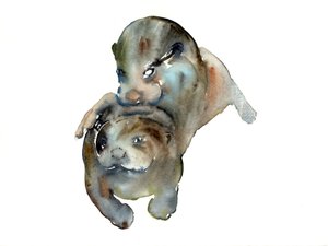 Titolo sconosciuto
