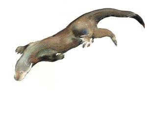 Titolo sconosciuto
