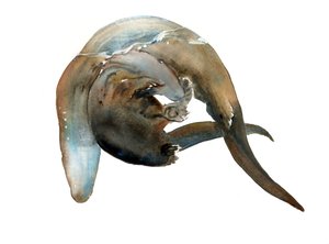 Titolo sconosciuto