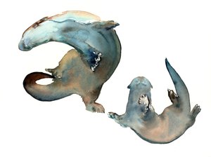 Titolo sconosciuto
