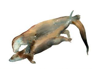 Titolo sconosciuto