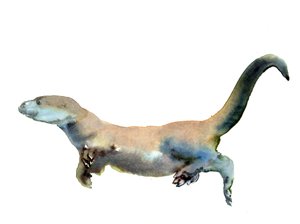 Titolo sconosciuto