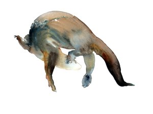 Titolo sconosciuto