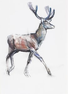 Velluto, 2006