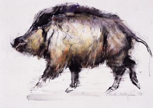 Cinghiale, 1999