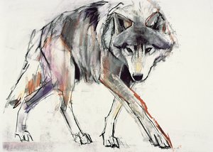 Lupo