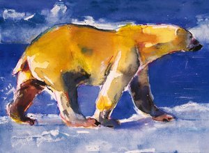 Orso Giallo, 1999
