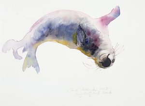 Giovane Foca Grigia, Gweek, 2003