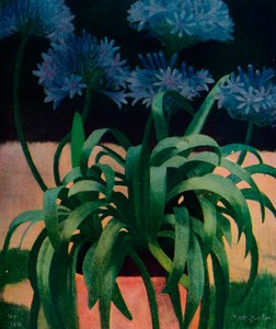 Agapanthus da Mark Gertler