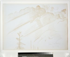 Paesaggio montano con nuvole e alberi