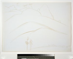 Paesaggio montano con due pini