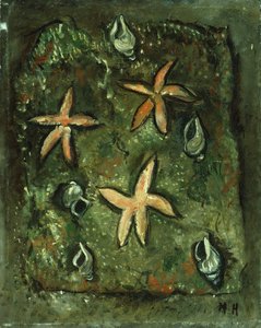 Stelle Marine e Conchiglie da Marsden Hartley