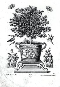 Albero ornamentale in un