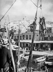 Il carico dei muli, Isola di Syros, Grecia, 1937 da Martin Hurlimann