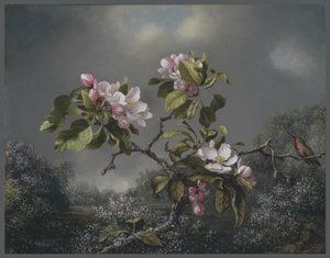Fiori di melo e colibrì, 1871 da Martin Johnson Heade